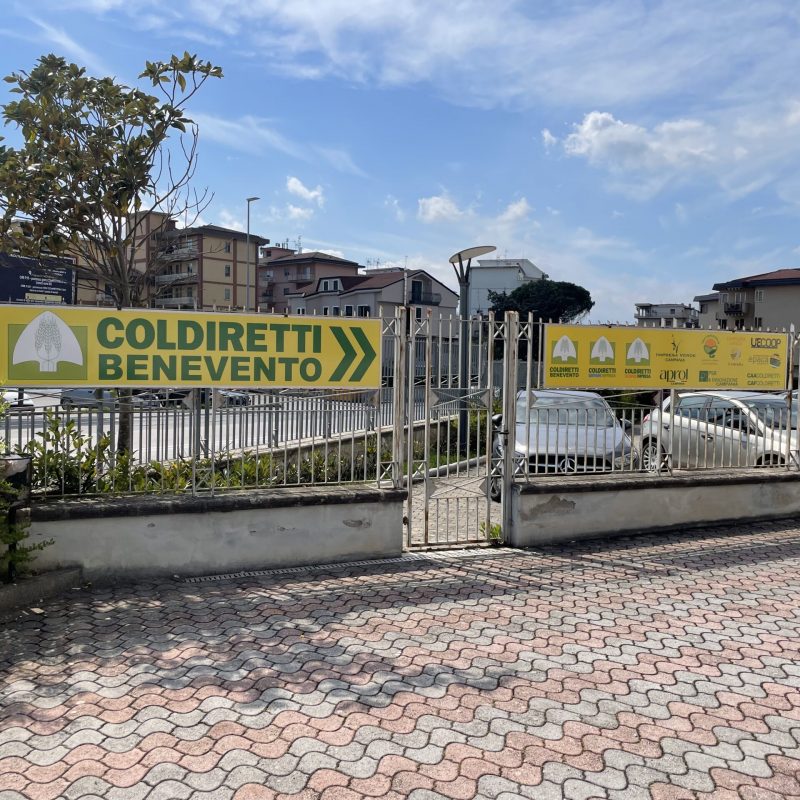Tabelle Coldiretti Benevento